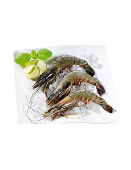 GAMBAS ENTIER 16/20 MDM BLAC TIGER 800G*10/CT