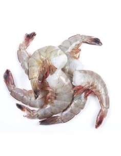 QUEUE CREV 51/60 REDBAY 1.4KG