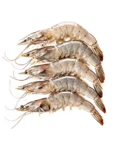CREVETTE ENTIERE 31/40 VANNAMEI 800G