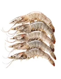 CREVETTE ENTIERE 30/40 VANONIE BIG BAY 750G