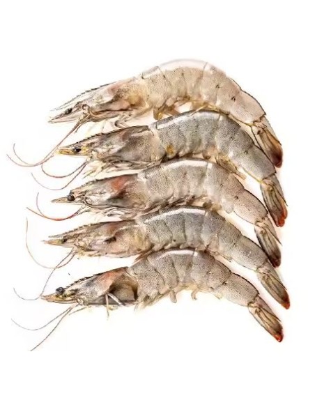 CREVETTE ENTIERE 30/40 VANONIE BIG BAY 750G*12/CT