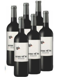 VIN ROUGE COTE DE GASCOGNE UN POUR TOUS 750ML