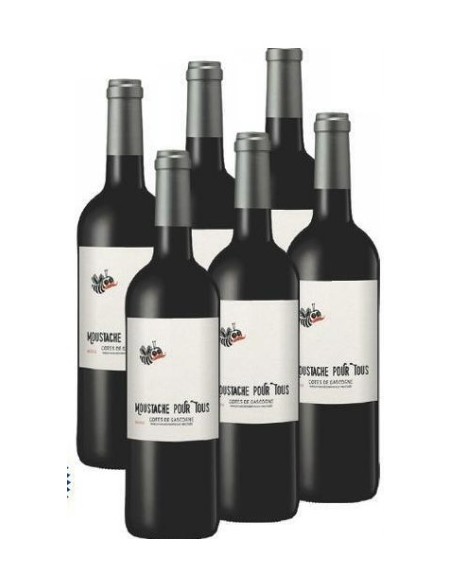 VIN ROUGE COTE DE GASCOGNE MOUSTACHE POUR TOUS 750ML