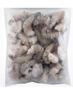 QUEUE CREV 8/12 EBI 800G