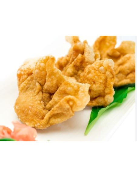 RAVIOLI FRIT WANG 700G