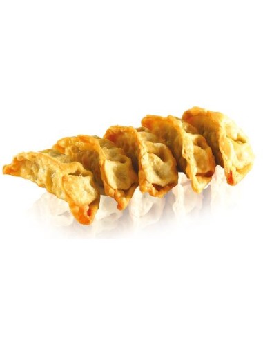 GYOZA POULET LEGUME CN SHIRAKIKU 600G*10/CT