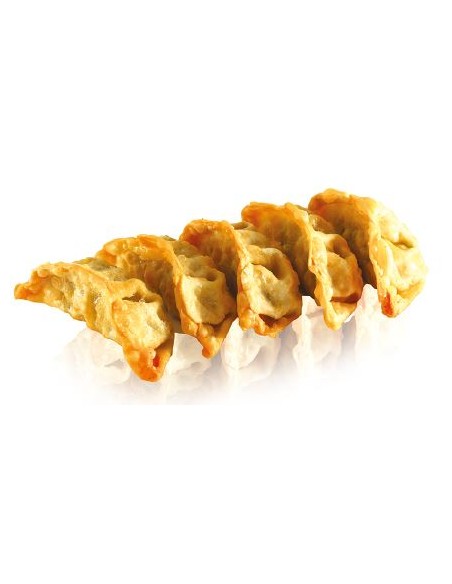 GYOZA POULET LEGUME CN SHIRAKIKU 600G*10/CT