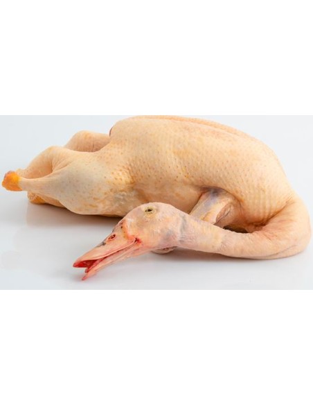 CANARD ENTIER A/ABATS CONGELE 2.4KG
