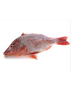 POISSON VIVANEAU ROUGE ENTIER SAF LE KILO