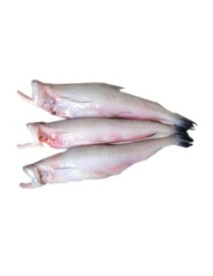 POISSON HARPADON- CA KHOAI EXOSTAR 500G
