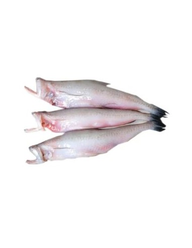 POISSON HARPADON- CA KHOAI EXOSTAR 500G