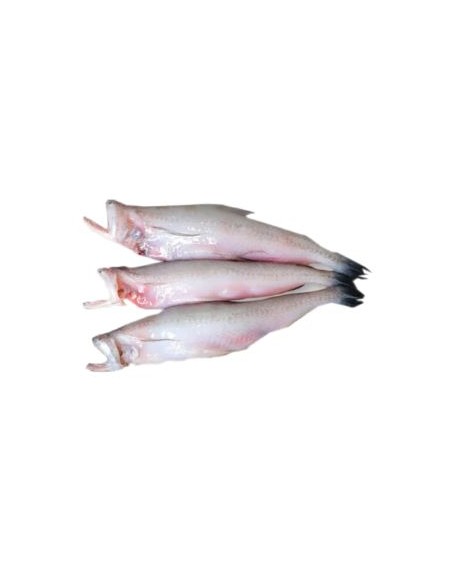 POISSON HARPADON- CA KHOAI EXOSTAR 500G