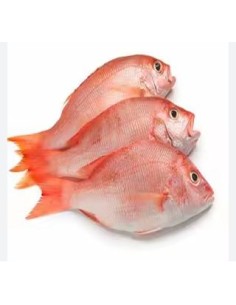 POISSON VIVANEAU ENTIER 1KG