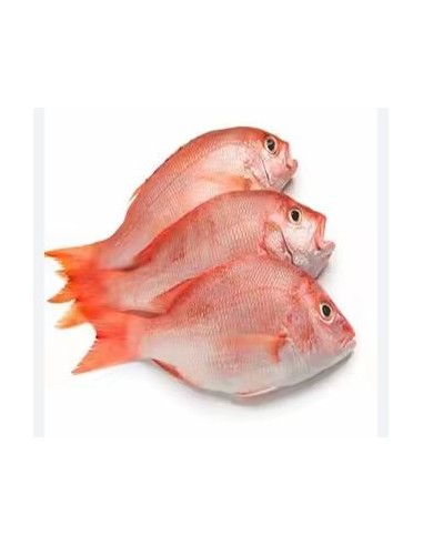 POISSON VIVANEAU ENTIER 1KG