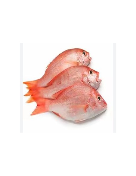 POISSON VIVANEAU ENTIER 1KG