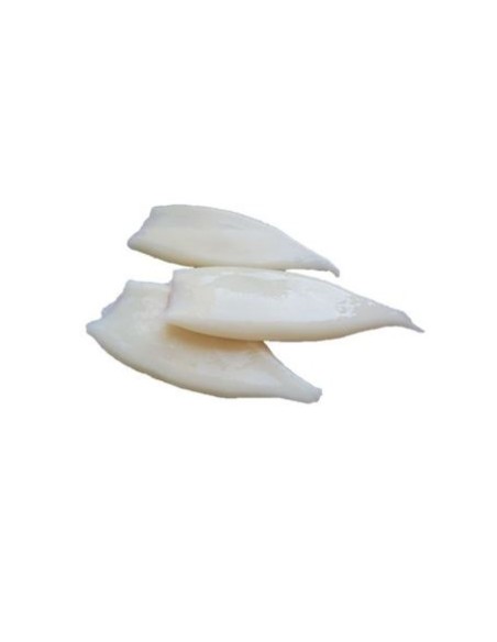 TUBE ENCORNET U5 EBI 700G