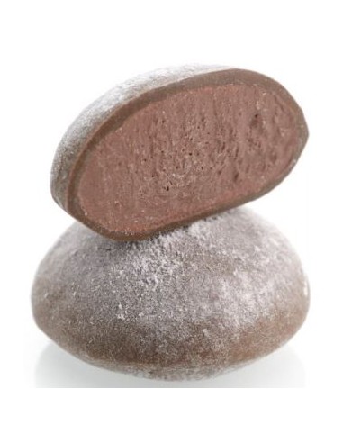 MOCHI GLACE CHOCO VANILLE 8P 283G