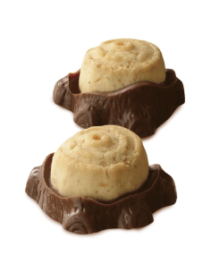 BISCUIT CHOCOLAT BOURBON JP 66G