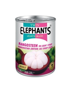 MANGOUSTAN SIROP TWIN ELEPHANTS 565G