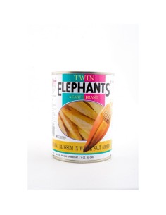 FLEUR BANANIER SIROP ELEPHANT 540G