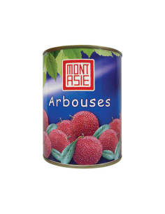 ARBOUSE SIROP M.ASIE 565G*24/CT
