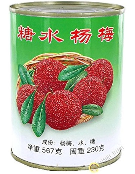 ARBOUSE SIROP FUXING 567G