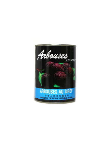 ARBOUSE SIROP FUXING 567G*24/CT