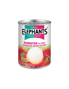 RAMBUTAN SIROP TWIN ELEPHANTS 565G*24/CT