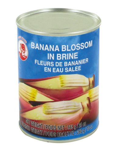 FLEUR BANANIER SIROP COQ 565G*24/CT