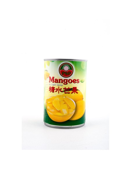 MANGUE SIROP PSP 425G*24/CT