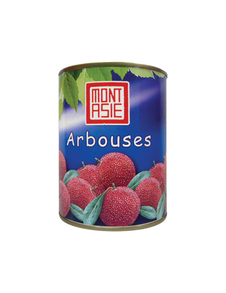 ARBOUSE SIROP M.ASIE 565G