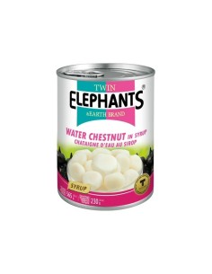 CHATAIGNE D'EAU SIROP TWIN ELEPHANTS 565G*24/CT
