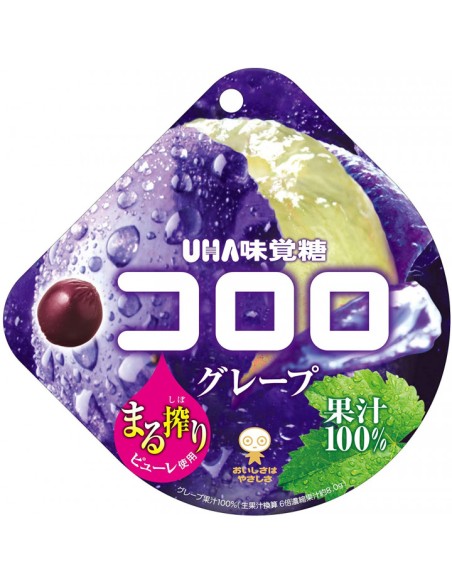 BONBON RAISIN UHA KORORO 48G
