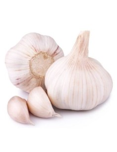 AIL FRAIS 5KG/SACHET (ORIG.ESPAGNE)
