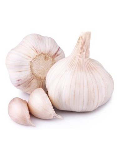 AIL FRAIS 5KG/SACHET (ORIG.ESPAGNE)