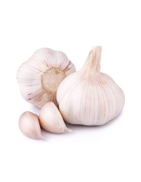 AIL FRAIS 5KG/SACHET (ORIG.ESPAGNE)