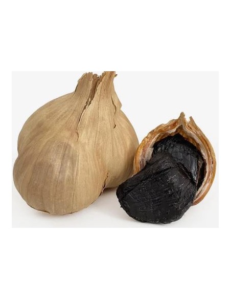 AIL NOIR PREMIUM JP 40G