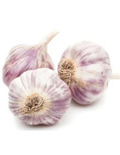 AIL VIOLET 1KG (ORIG.ESP)