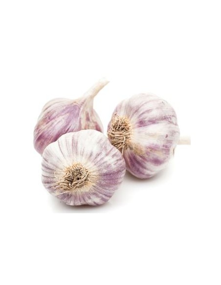 AIL VIOLET 1KG (ORIG.ESP)