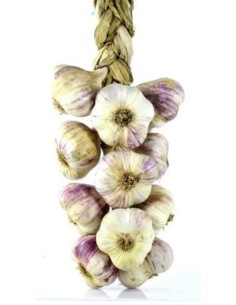 AIL VIOLET DU GERS LA TRESSE 500G (ORIG.FRANCE)