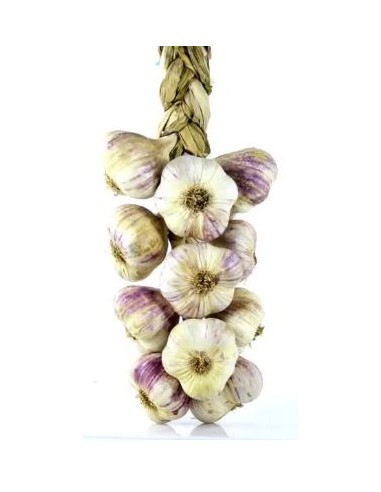 AIL VIOLET DU GERS LA TRESSE 500G (ORIG.FRANCE)