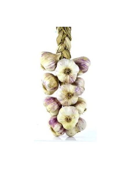 AIL VIOLET DU GERS LA TRESSE 500G (ORIG.FRANCE)