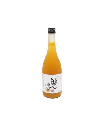 ALCOOL AU ABRICOT ET MANDARINE 12° JP 720ML