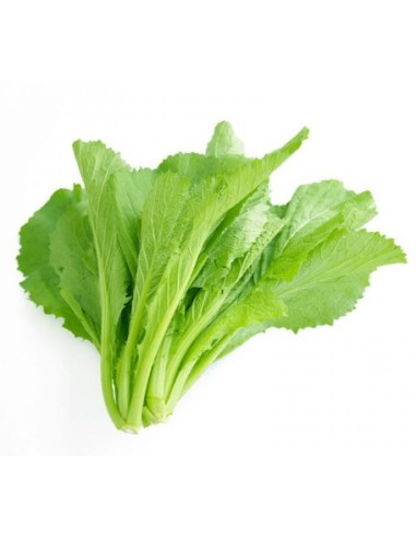 AMCHOI GROS-CAI XANH 1KG (ESPAGNE)