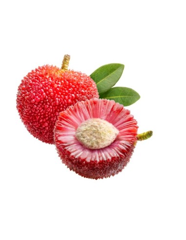 ARBOUSE FRAIS 500G (ORIG.CHINE)