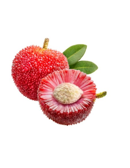 ARBOUSE FRAIS 500G (ORIG.CHINE)