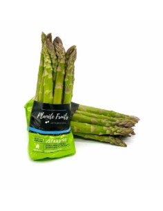 ASPERGE VERTE 10/12 LA BOTTE 500G (ORIG.ESPAGNE)