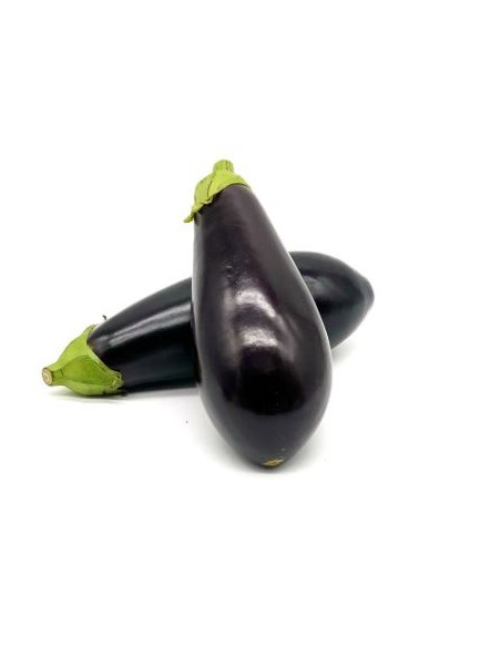 AUBERGINE NOIRE 35/45 LE KILO (ORIG.ESPAGNE)