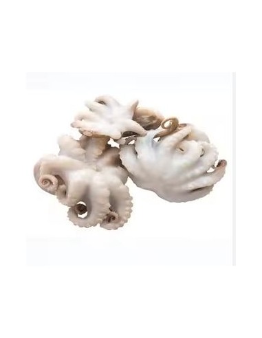 BABY POULPE ENTIERE 20/40 M.D.MONDE 800G*10/CT