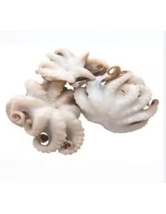 BABY POULPE ENTIERE 21/40 800G*12/CT